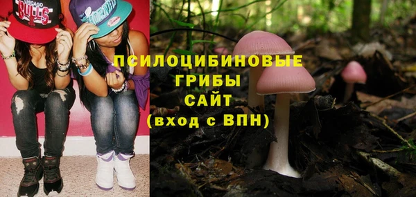 соль курить ск Алексеевка
